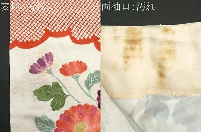 平和屋着物■訪問着 駒刺繍 雲取り枝菊文 金彩 正絹 逸品 CABC3700fb