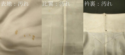 平和屋着物■訪問着 枝花丸文 藤花房 暈し染め 金彩 正絹 逸品 CABC4119oy