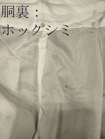 平和屋着物■上質な紬　風景文　黒地　正絹　逸品　未使用　CABC4215oy