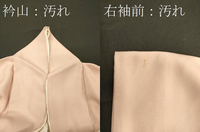 平和屋着物■豪華色留袖　友禅　作家物　花鳥文　暈し染め　金彩　正絹　逸品　CABC4255oy