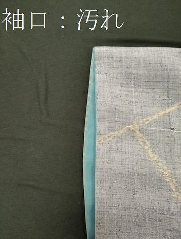 平和屋着物■上質な紬 枝葉文 正絹 逸品 CABC4354oy