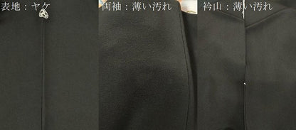平和屋着物■豪華黒留袖　友禅　作家物　風景文　暈し染め　金彩　正絹　逸品　CABC4624dy