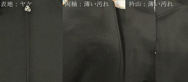 平和屋着物■豪華黒留袖　友禅　作家物　風景文　暈し染め　金彩　正絹　逸品　CABC4624dy