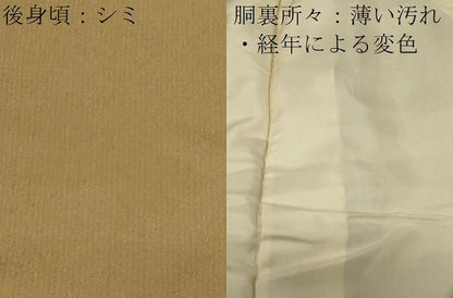 平和屋着物■訪問着 総刺繍 成り物 金糸 正絹 逸品 CABC4629dy