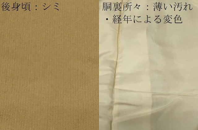 平和屋着物■訪問着 総刺繍 成り物 金糸 正絹 逸品 CABC4629dy