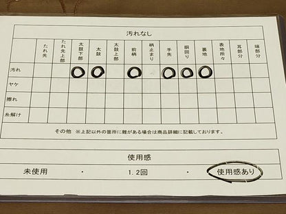 平和屋着物◎両面　太鼓柄　京袋帯　鳳凰花文　金糸　正絹　逸品　CABC4821in