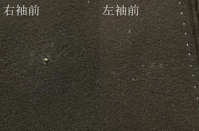 平和屋着物＃羽織　寿光織　飛鳥文　黒地　金糸　正絹　逸品　CABC5039in