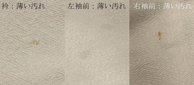 平和屋着物■訪問着 駒刺繍 絞り 草花文 金彩 正絹 逸品 CABC5087in