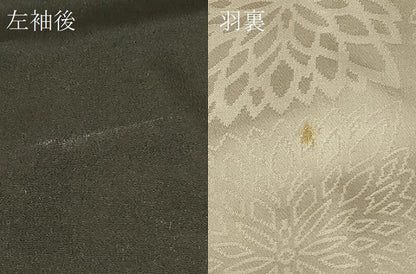 平和屋着物＃羽織 寿光織 立波文 金糸 正絹 逸品 CABC5188in