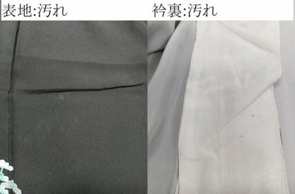 平和屋着物■豪華黒留袖　友禅　作家物　風景文　正絹　逸品　CABC5729xi
