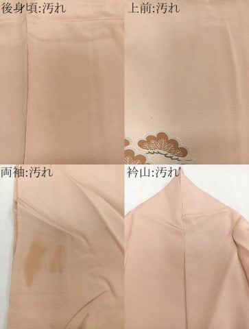平和屋着物■豪華色留袖 駒刺繍 浜松文 暈し染め 金彩 正絹 逸品 CABC5886xi