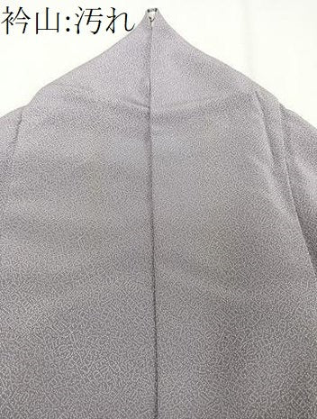 平和屋着物■訪問着　江戸小紋　霞文　寄せ小紋柄　正絹　逸品　CABC5922xi