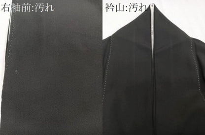 平和屋着物■豪華黒留袖　作家物　風景文　正絹　逸品　CABC5930xi