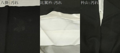 平和屋着物■豪華黒留袖　作家物　屏風尾長鳥草花文　金彩　正絹　逸品　CABC6211ev