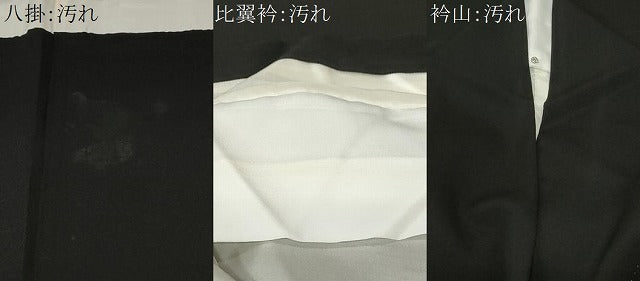 平和屋着物■豪華黒留袖　作家物　屏風尾長鳥草花文　金彩　正絹　逸品　CABC6211ev
