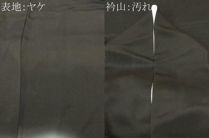 平和屋着物■豪華黒留袖　枝葉文　暈し染め　金銀彩　正絹　逸品　CABC6219ev