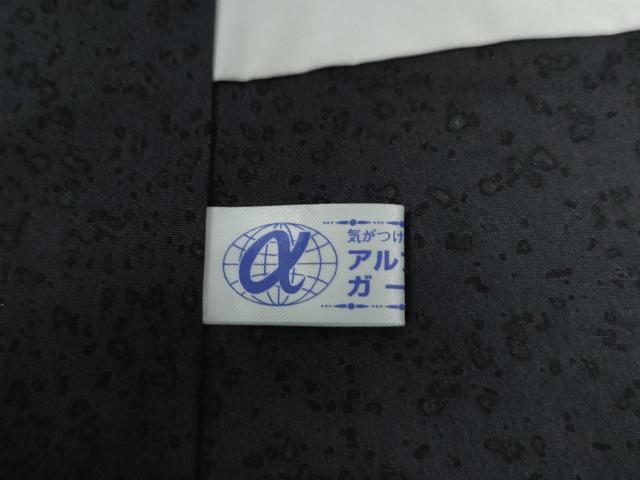 平和屋着物●訪問着 紬地 吉祥花文 正絹 逸品 CABC6431yc