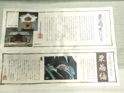 平和屋着物●訪問着 栗繭紬 作家物 枝花文 金彩 反端付き 正絹 逸品 未使用 CABC6516yc