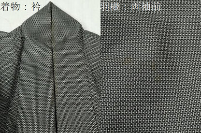 平和屋着物●男性 本場大島紬 アンサンブル 100亀甲 総詰め 正絹 逸品 CABC6519yc