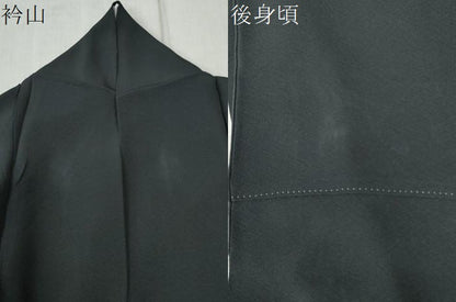 平和屋着物●訪問着 霞文 黒地 銀糸 ロング丈 正絹 逸品 CABC6567yc