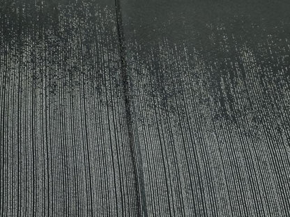 平和屋着物●訪問着 霞文 黒地 銀糸 ロング丈 正絹 逸品 CABC6567yc