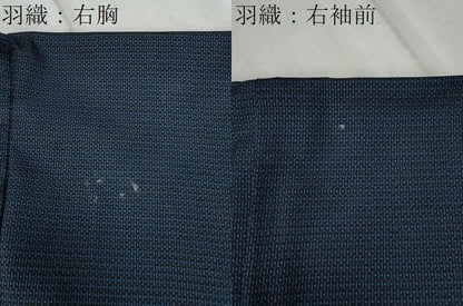 平和屋着物●男性 本場大島紬 アンサンブル 100亀甲 総詰め 羽裏：虎 正絹 逸品 CABC6571yc