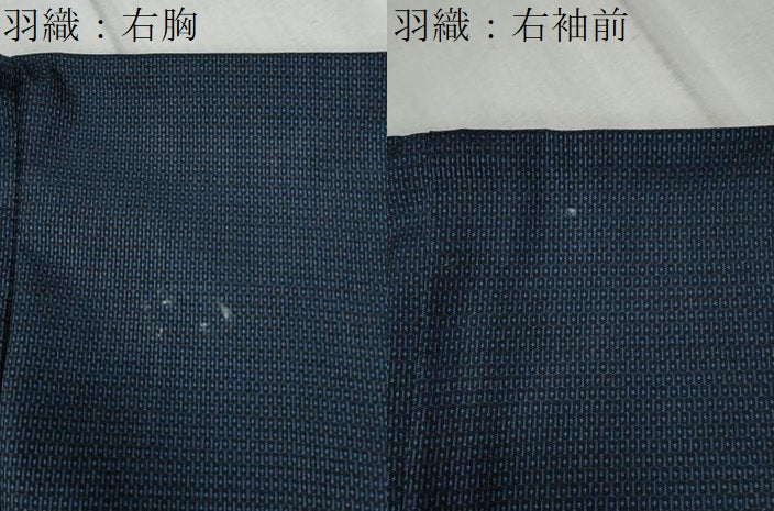 平和屋着物●男性 本場大島紬 アンサンブル 100亀甲 総詰め 羽裏：虎 正絹 逸品 CABC6571yc