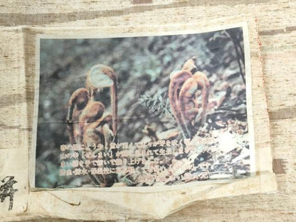 平和屋着物●ぜんまい絣　吉祥文　証紙付き　正絹　逸品　CABC6579yc