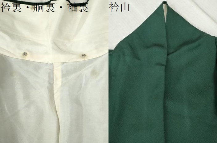 平和屋着物●豪華振袖　牡丹花文　金彩　正絹　逸品　CABC6619yc