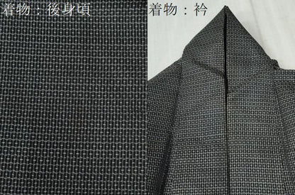 平和屋着物●男性　本場大島紬　アンサンブル　80亀甲　総詰め　正絹　逸品　CABC6631yc