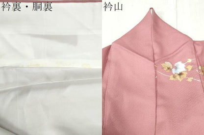 平和屋着物●染色作家　草野一騎　訪問着　葡萄蔦の葉文　暈し染め　金彩　正絹　逸品　CABC6717yc