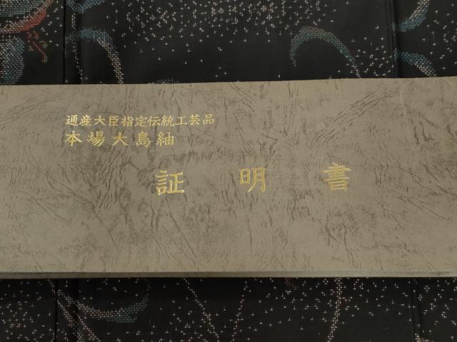 平和屋着物●本場大島紬　9マルキ　枝花文　さが美扱い　証明書付き　正絹　逸品　CABC6742yc