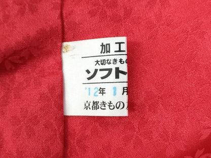 平和屋着物●豪華振袖　牡丹草花文　ラメ糸　暈し染め　銀通し地　京都きもの友禅扱い　正絹　逸品　CABC6894yc