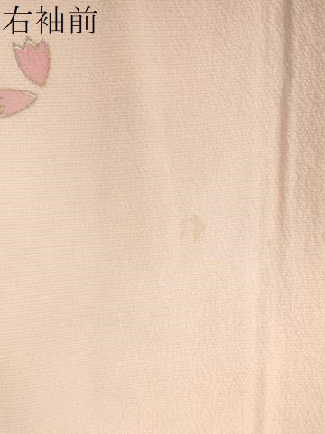 平和屋着物●豪華振袖　枝桜文　暈し染め　金彩　正絹　逸品　CABC6914yc