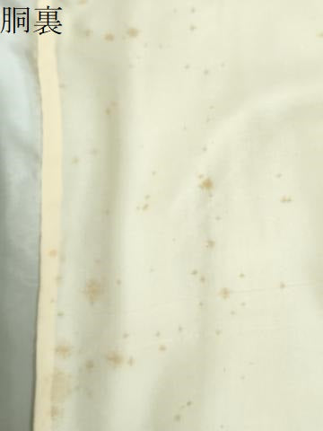 平和屋着物●男性　色紋付　霞地紋　裏葉柳色　正絹　逸品　CABC7071yc
