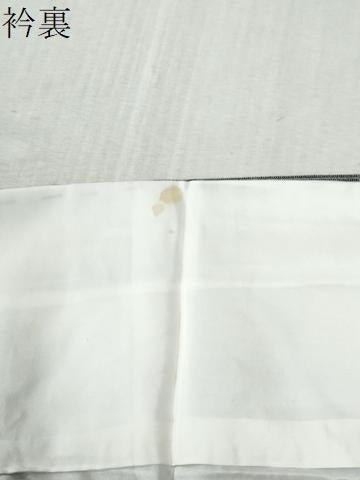平和屋着物●本塩沢　縞　黒地　正絹　逸品　CABC7106yc