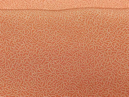 平和屋着物■江戸小紋 家内安全 正絹 逸品 CABC7423xe