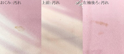 平和屋着物■訪問着 飛鶴文 暈し染め 正絹 逸品 CABC7579xe