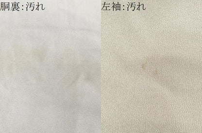 平和屋着物■訪問着 舞蝶文 金彩 正絹 逸品 CABC7582xe
