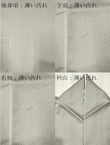 平和屋着物■訪問着 地紙花鳥文 暈し染め 金彩 正絹 逸品 CABC7634ou