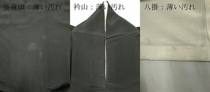 平和屋着物■豪華黒留袖 駒刺繍 万寿染 風景草花文 金銀彩 正絹 逸品 CABC7636ou