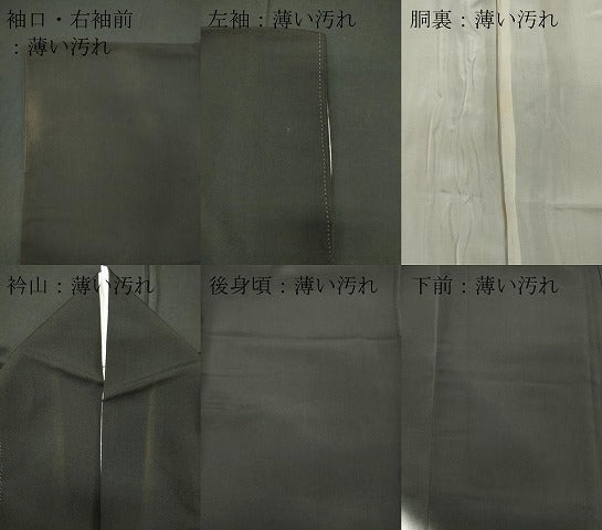 平和屋着物■豪華黒留袖　手描き　風景文　暈し染め　正絹　逸品　CABC7675ou