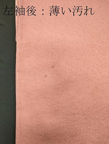平和屋着物■訪問着 刺繍 草花文 暈し染め 金彩 正絹 逸品 CABC7689ou