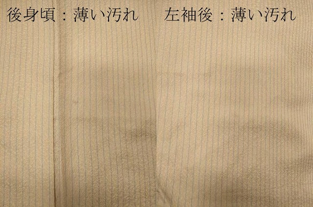 平和屋着物■上質な小紋 草花間道 金彩 正絹 逸品 CABC7691ou