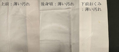 平和屋着物■長襦袢 袷 雪芝地紋 半衿刺繍 正絹 逸品 CABC7698ou