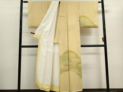 平和屋着物■訪問着　地文起こし　遠山文　暈し染め　正絹　逸品　CABC7721ou