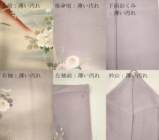 平和屋着物■訪問着　尾長鳥花末文　暈し染め　正絹　逸品　CABC7722ou