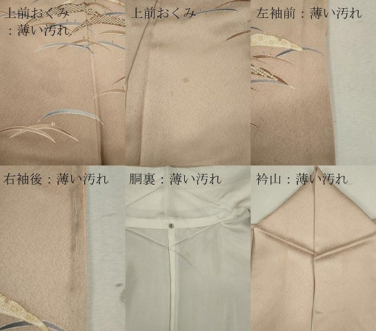 平和屋着物■訪問着　雪芝地紋　暈し染め　金彩　正絹　逸品　CABC7737ou