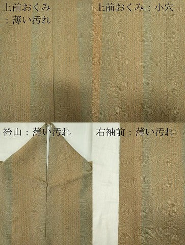 平和屋着物■江戸小紋 縞 鮫小紋柄 正絹 逸品 CABC7801ou