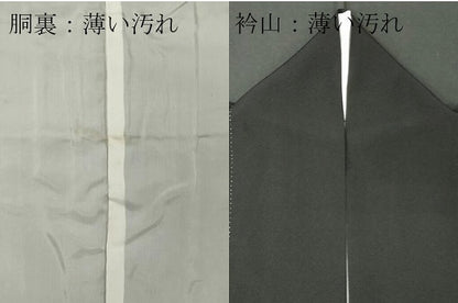 平和屋着物■豪華黒留袖　作家物　花鳥文　金銀彩　正絹　逸品　CABC7837ou